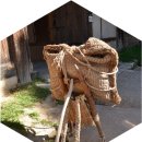 중앙공원 팔각정 공동우물 | 문화로 투어 2024 동서화합 영호남 문화예술관광박람회 동부권(영덕 포항 경주 대구 여행 코스)