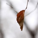 리체안한의원 이미지