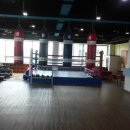 호대권투체육관 이미지