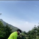 루이힐스 C.C 이미지