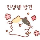 솔화장품