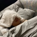 지노조명전기