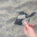 마농게스트하우스 민박 | 제주도 여행 후기