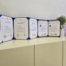 멍그리 | 울산 중구 애견미용 잘하는 곳 추천 말티푸 후기 멍그리