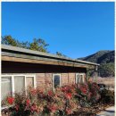 휘게마을 이미지