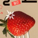 월간밀 네이버블로그
