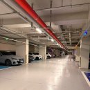 황금돈삼겹살 | 돈들집 영통역맛집 구워주는 영통역삼겹살 제대로 즐긴 후기