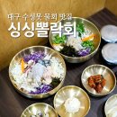 수성뽈락 | 대구 수성구 싱싱뽈락회 수성못 물회 맛집 점심 신메뉴 후기