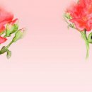 박희복 Daum카페