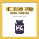 마그네슘 효능 부작용 부족증상 걱정없는 임산부영양제 추천