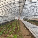 지안농장 이미지