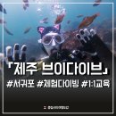 희연스킨케어 | 제주 스쿠버다이빙 브이다이브 안전한 체험 다이빙 후기 (ft. 서귀포 액티비티 추천)