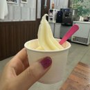 감녹관 | 청주 분평동 돌짜장 맛집 감녹관 후기