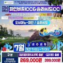 파인비치 이미지