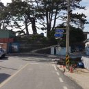 금오도 초원의 집 네이버블로그