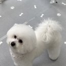 크린멍 이미지