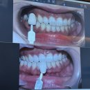 썸머플라워 센터피스 만들기 A | 11. 스튜디오 웨딩 촬영 준비물 - 아우드스튜디오 촬영시안, 소품 준비, 플라워디렉팅, 헤어변형 상담