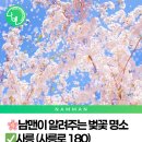 사능천 자전거도로1 이미지