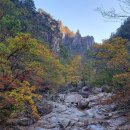 설악산 비선대 계곡 이미지