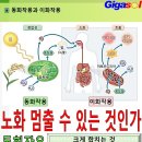 방 안에서 실내에서 운동 시 주의사항~이화 동화작용 이미지