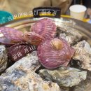 이수역 3번출구 앞 1 | 서울 이수역 방배대하구이 이수점 11월 제철 신선한 굴찜 개시 반려견 동반가능