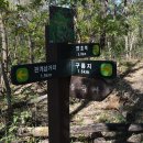 담티고개 티스토리