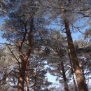 오현 이미지