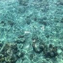 웰컴레인 이미지