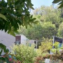 플라워민박 이미지