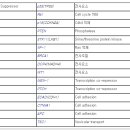 (주)비알엠 네이버블로그
