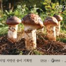 송이푸드 - 논산시 | 송이푸드