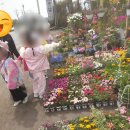 언덕배기꽃식물원 이미지