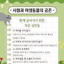 너구리 이미지