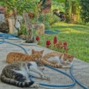 송계민박 이미지