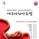 퍼포먼스홀 Daum카페