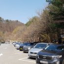 신일서로125번길,126번길 | 유명산 자연휴양림 캠핑장 시원한 계곡 캠핑장 명당자리