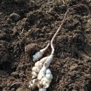 바우농장2 이미지