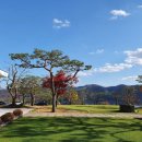 근영농산(주)양주컨트리클럽 | 양주 컨트리클럽(양주CC) 법인골프회원권 시세