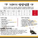 내몸에기러기