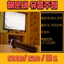 바다유흥 이미지