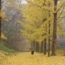 하반기 타박타박 인천 이미지