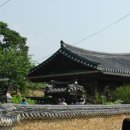 임고면-선원리-28