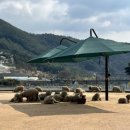 차밭매점 이미지