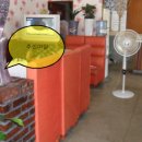 장미다방 이미지