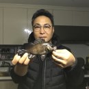 JS컴퍼니 BIXOD N R4 시운전을 다녀왔습니다. 이미지