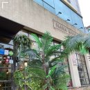 상무계절맛집 이미지