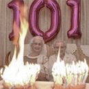 서울시 야생동물 구조센터 이미지