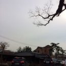 회화나무전통밥집 이미지