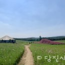 대덕1통마을회관 이미지