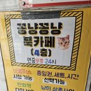 꽁냥꽁냥 | 대전 오정동 한남대 만화카페 꽁냥꽁냥 고양이카페